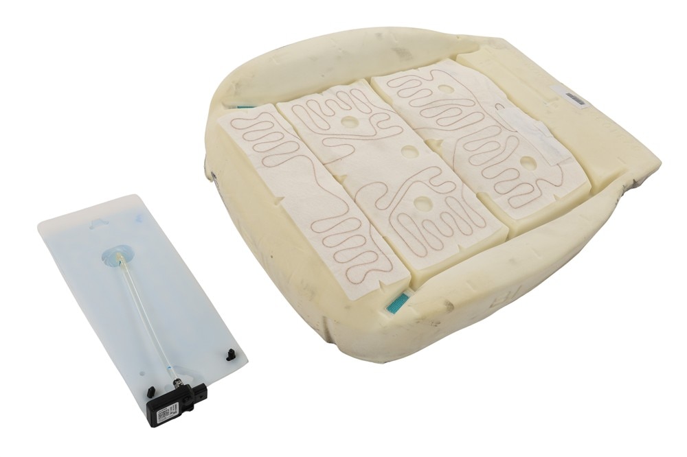 GM Genuine Parts Passenger Side Airbag Front Passenger Presence Module