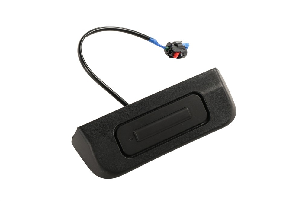 GM Genuine Parts Rear Closure Fixed Handle Applique