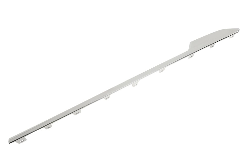 GM Genuine Parts Front Passengers Side Door Molding Insert
