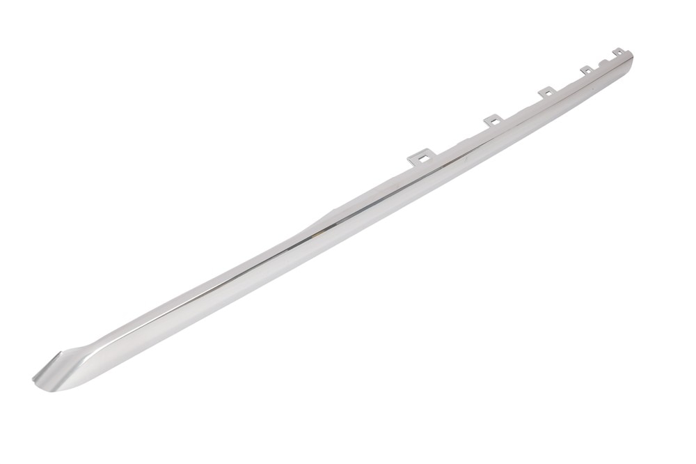 GM Genuine Parts Rear Door Molding Insert