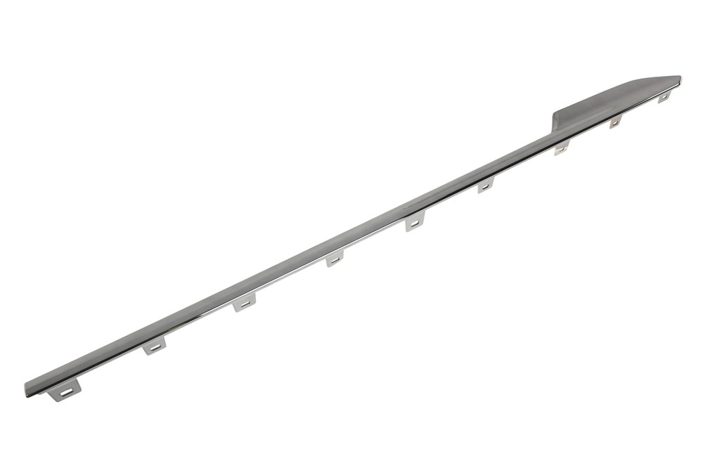 GM Genuine Parts Front Passengers Side Door Molding Insert