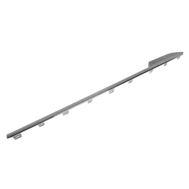 GM Genuine Parts Front Passengers Side Door Molding Insert