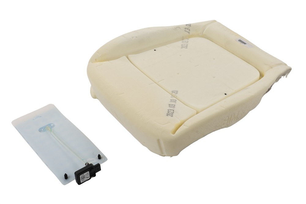 GM Genuine Parts Passenger Side Airbag Front Passenger Presence Module