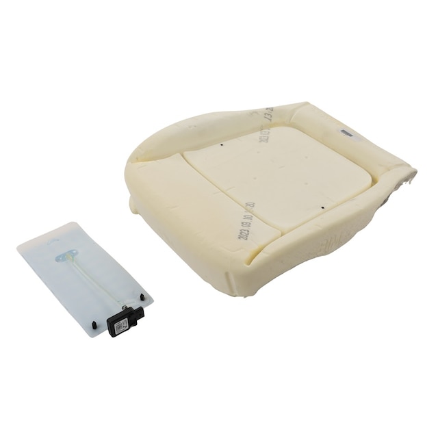 GM Genuine Parts Passenger Side Airbag Front Passenger Presence Module