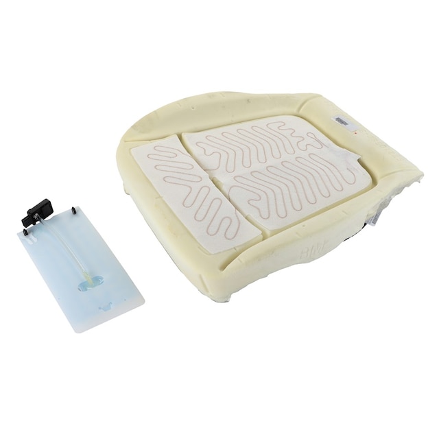 GM Genuine Parts Passenger Side Airbag Front Passenger Presence Module