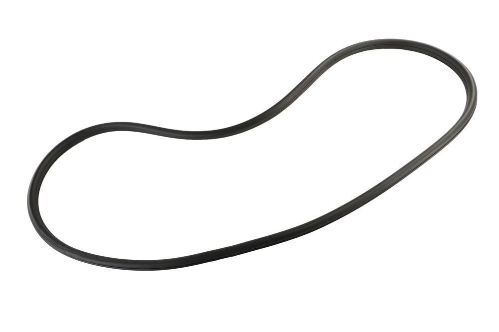 GM Genuine Parts Door Seal