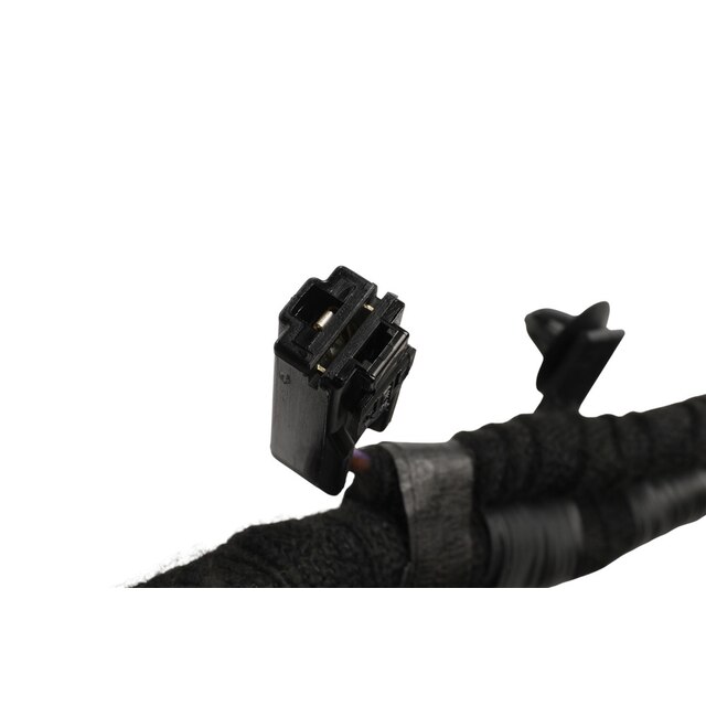 Alternate Image