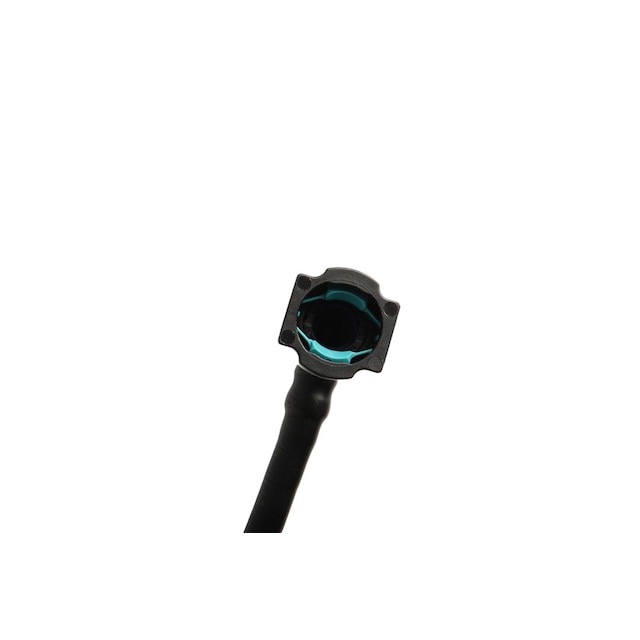 Alternate Image