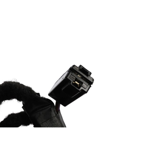 Alternate Image