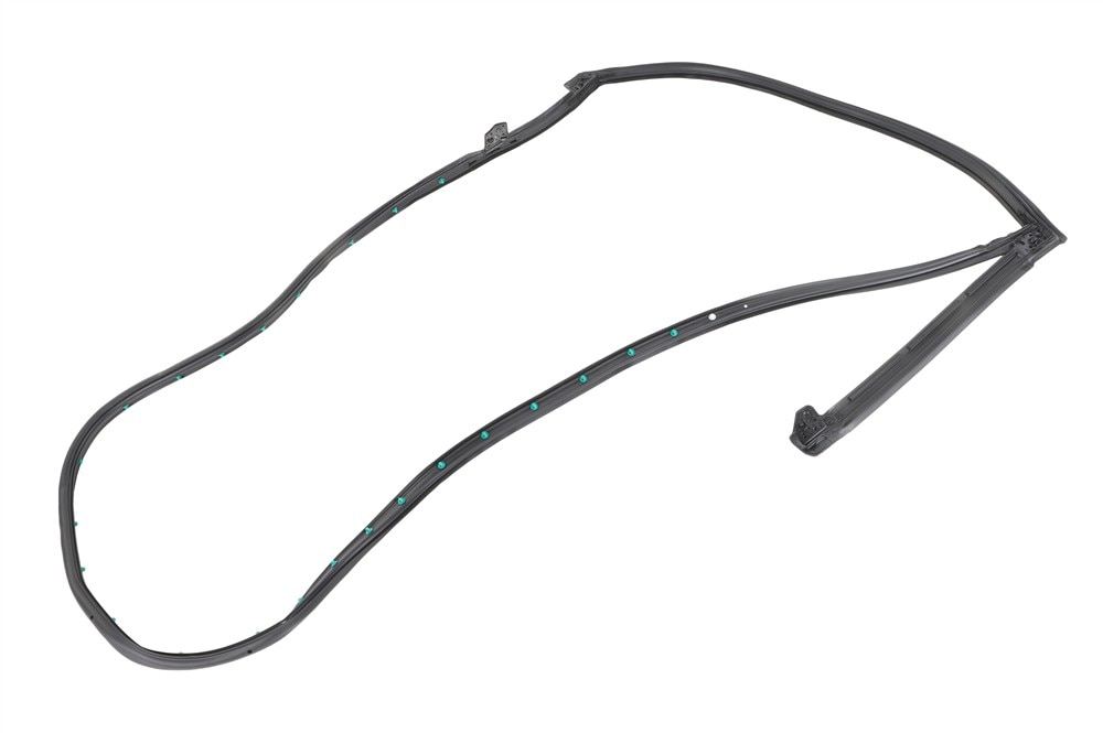 GM Genuine Parts Door Seal