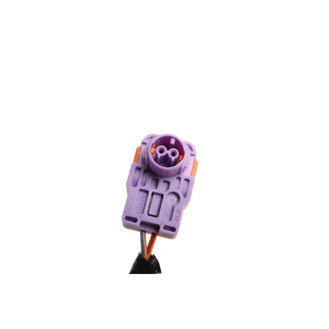 Alternate Image