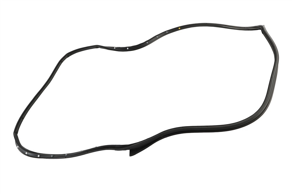 GM Genuine Parts Door Seal