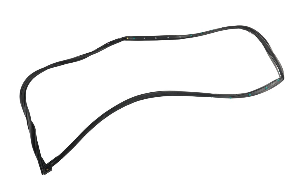 GM Genuine Parts Door Seal