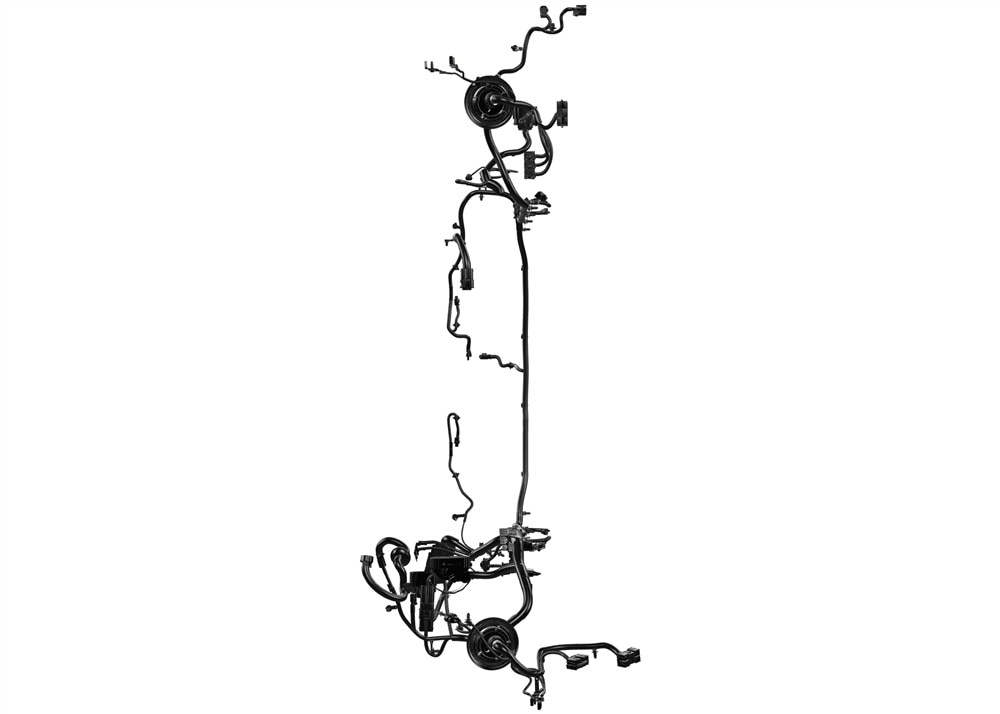 Alternate Image