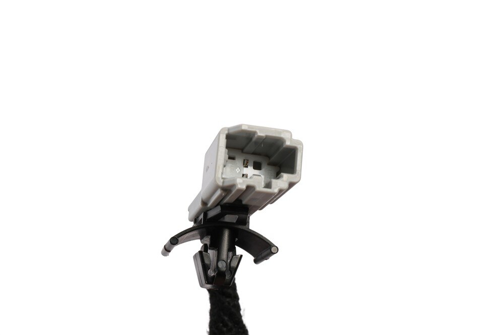 Alternate Image