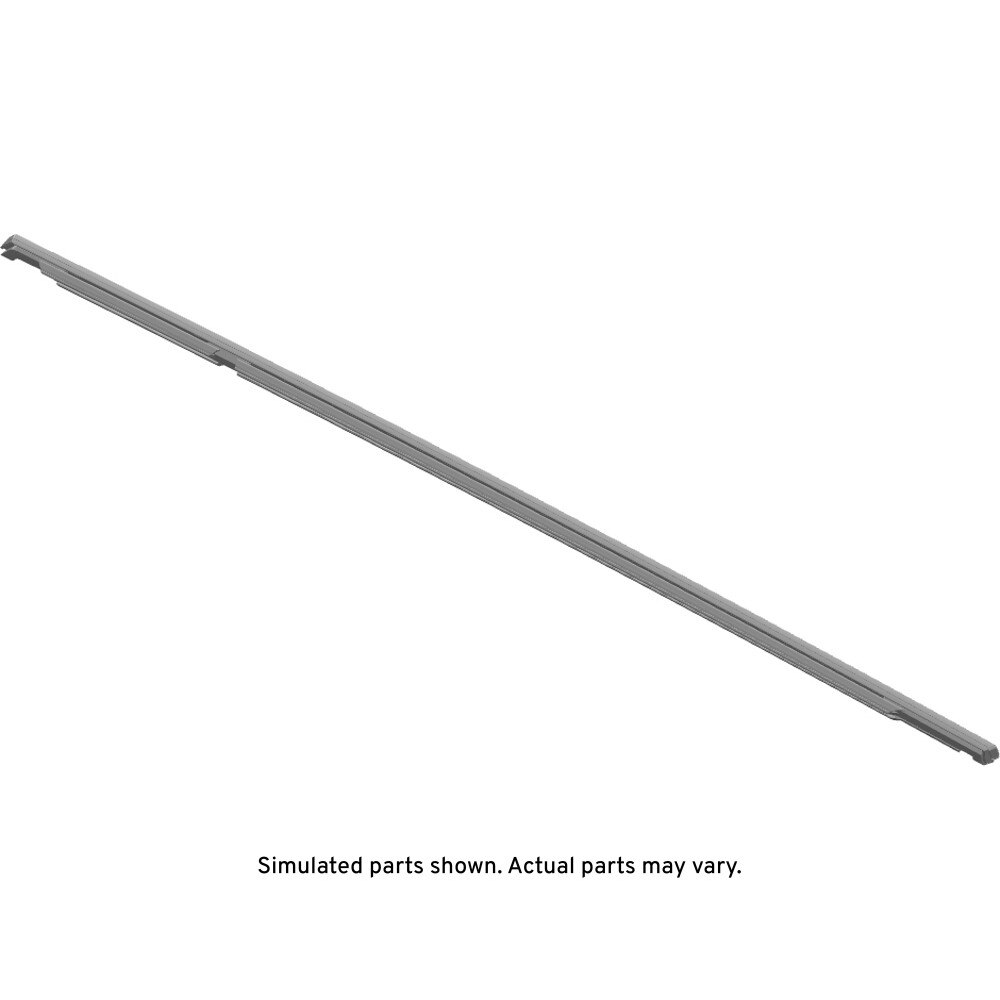 GM Genuine Parts Door Belt Molding