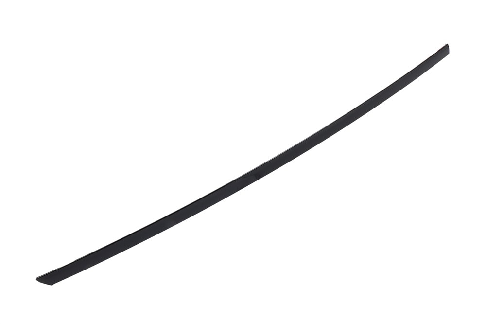 GM Genuine Parts Door Window Molding