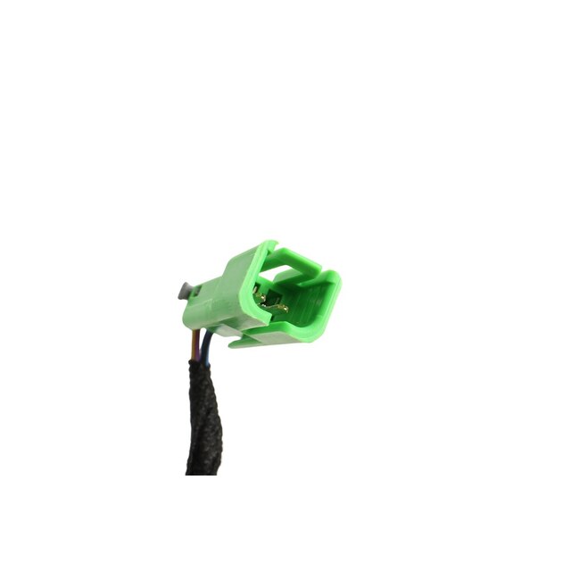 Alternate Image