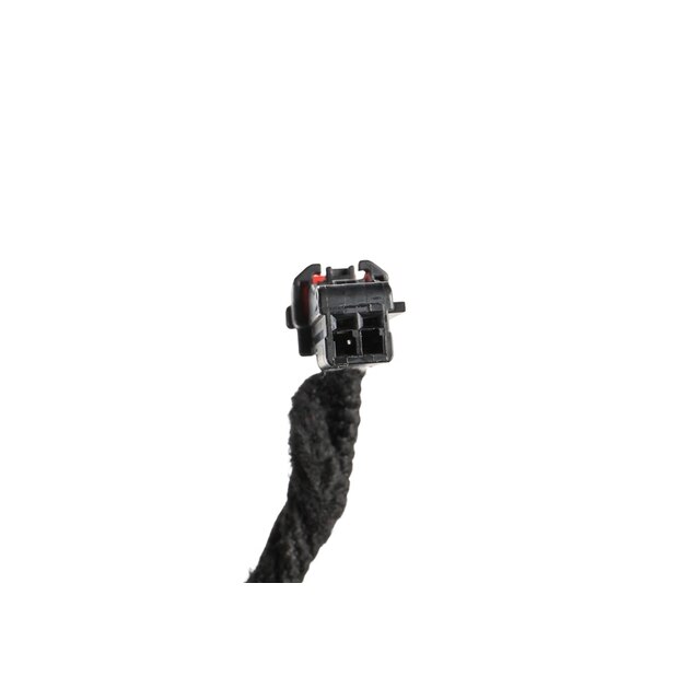 Alternate Image