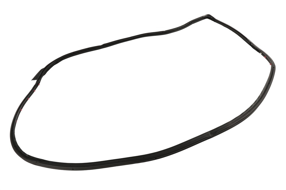 GM Genuine Parts Door Seal
