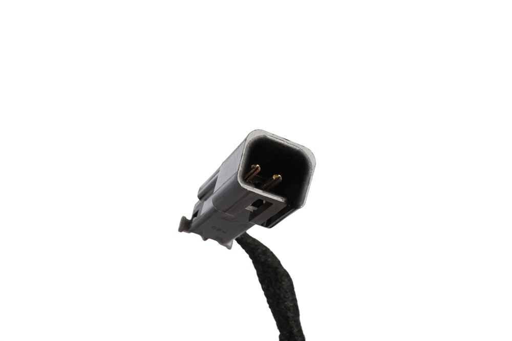 Alternate Image