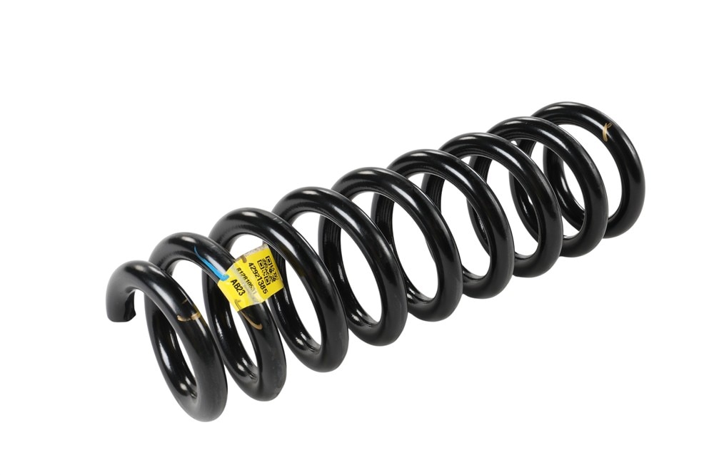 GM Genuine Parts Rear Passengers Side Coil Spring