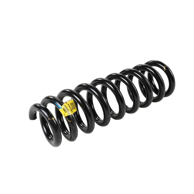 GM Genuine Parts Rear Passengers Side Coil Spring