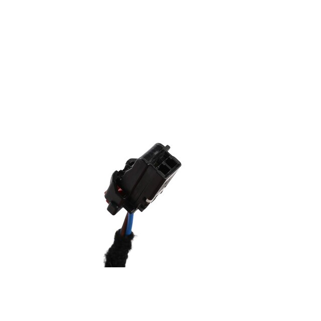 Alternate Image