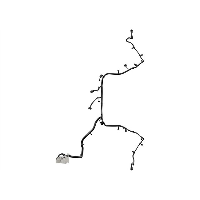Alternate Image
