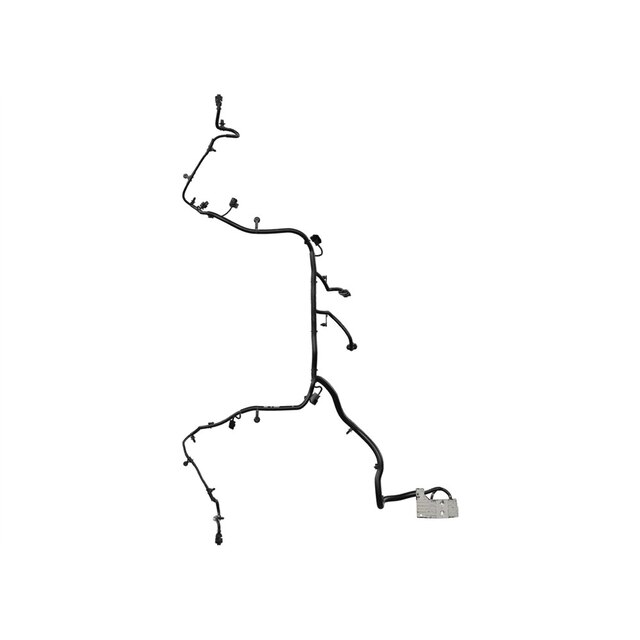 Alternate Image