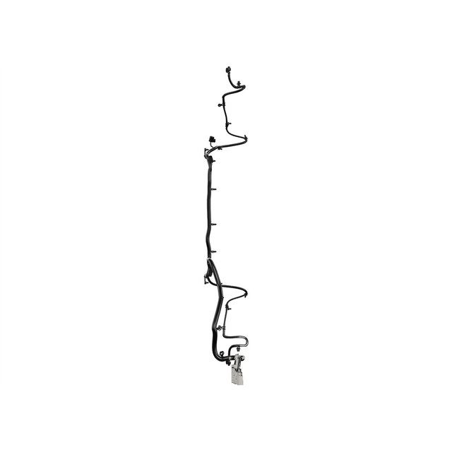 Alternate Image