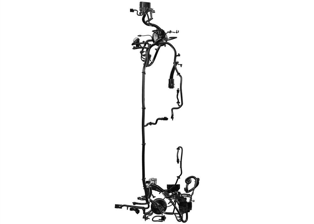 Alternate Image