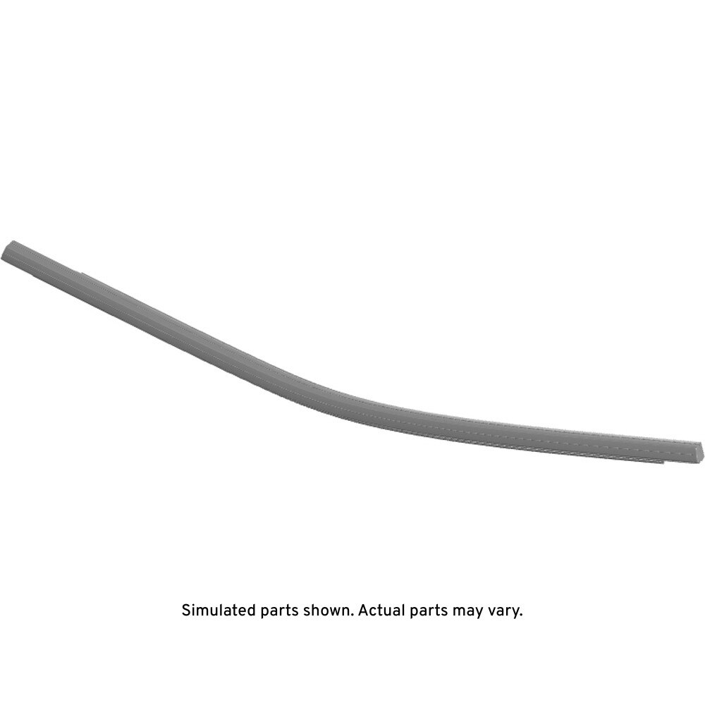 GM Genuine Parts Door Belt Molding