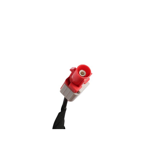 Alternate Image