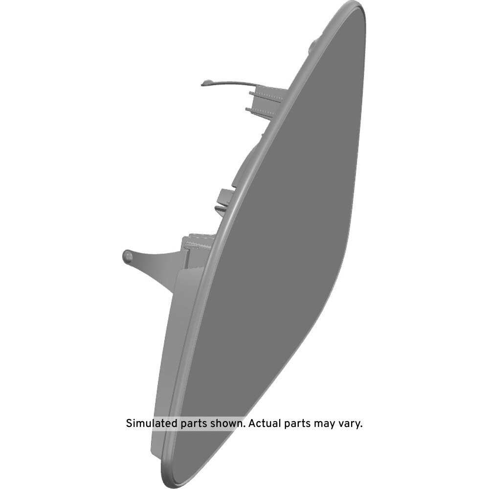 GM Genuine Parts Door Mirror Glass