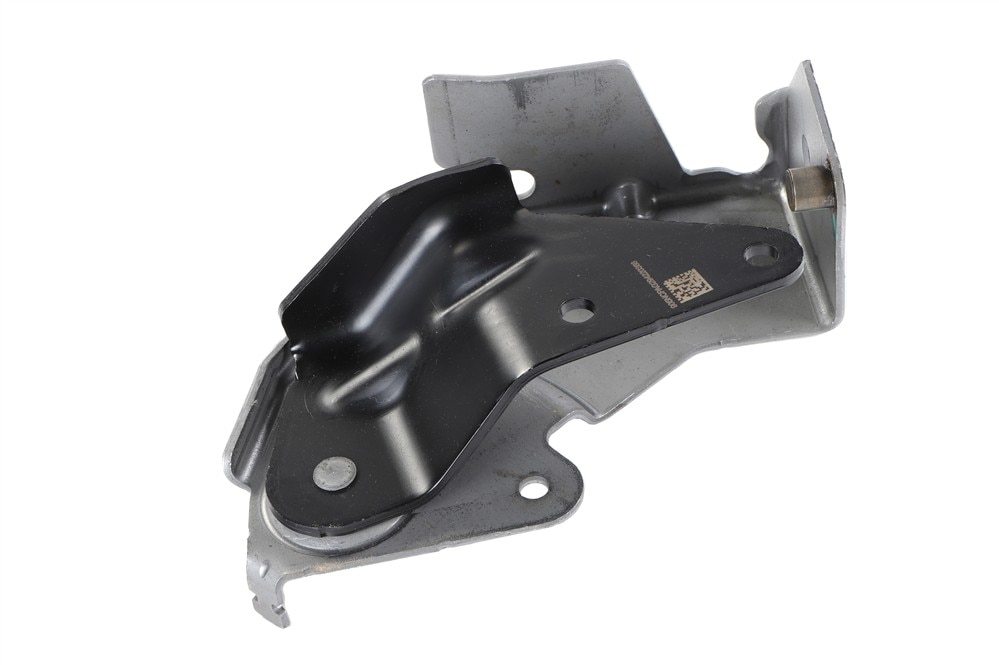 GM Genuine Parts Rear Driver Side Seat Back Latch