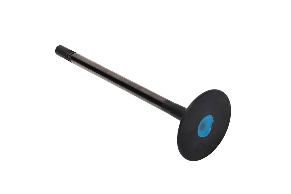 GM Genuine Parts Intake Valve
