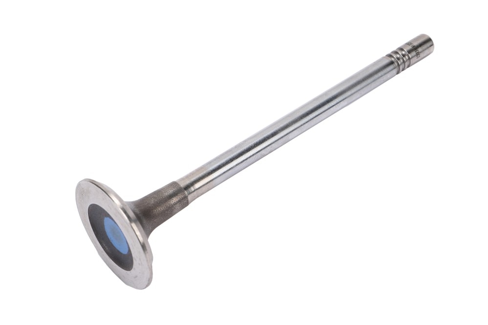 GM Genuine Parts Exhaust Valve