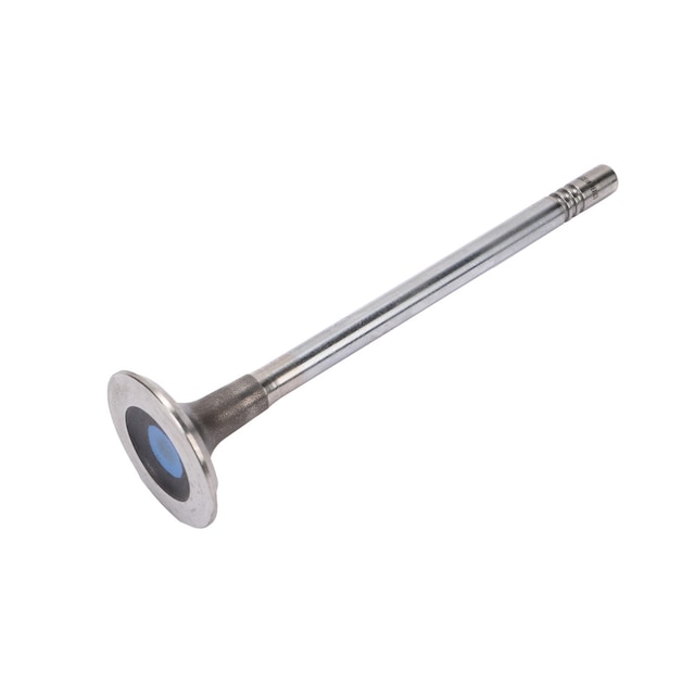 GM Genuine Parts Exhaust Valve
