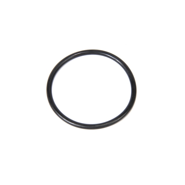 GM Genuine Parts Fuel Pump O-Ring