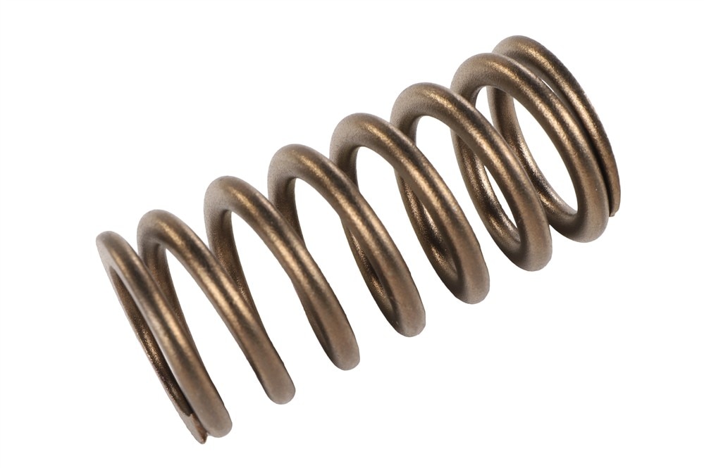 GM Genuine Parts Valve Spring