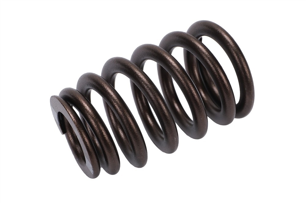 GM Genuine Parts Valve Spring