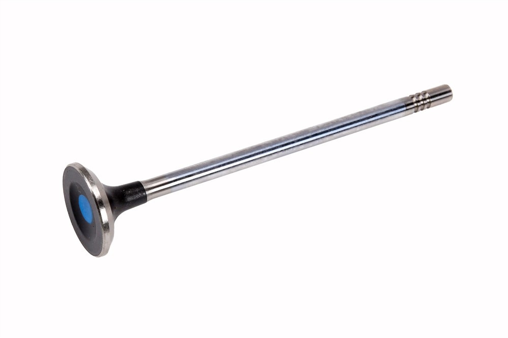 GM Genuine Parts Engine Exhaust Valve