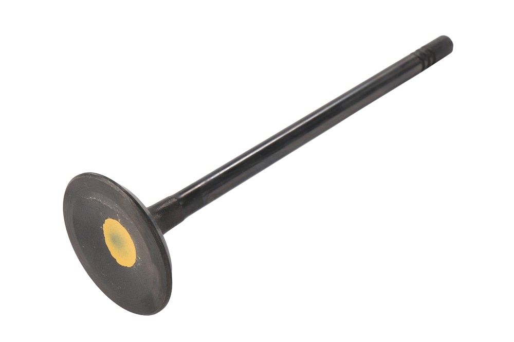 GM Genuine Parts Intake Valve