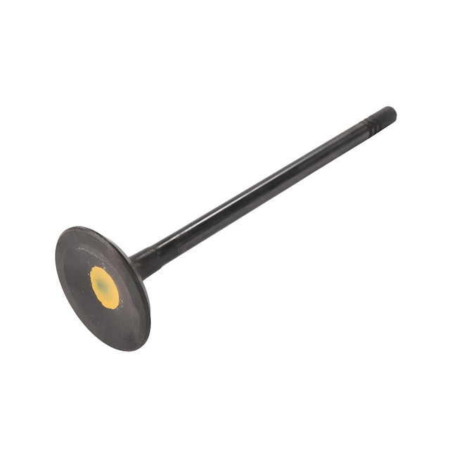 GM Genuine Parts Intake Valve