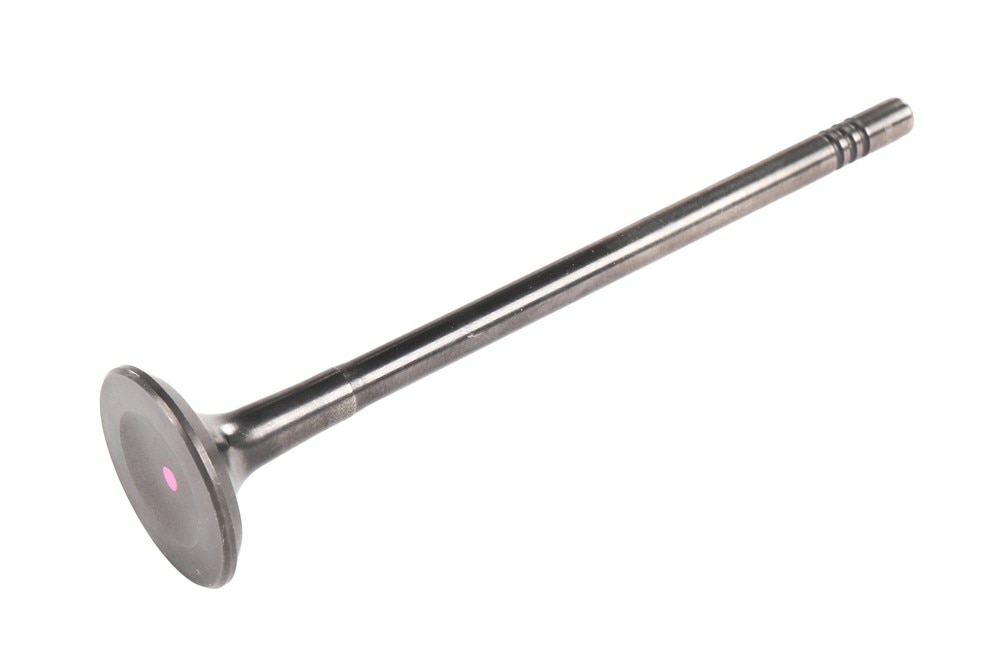 GM Genuine Parts Exhaust Valve