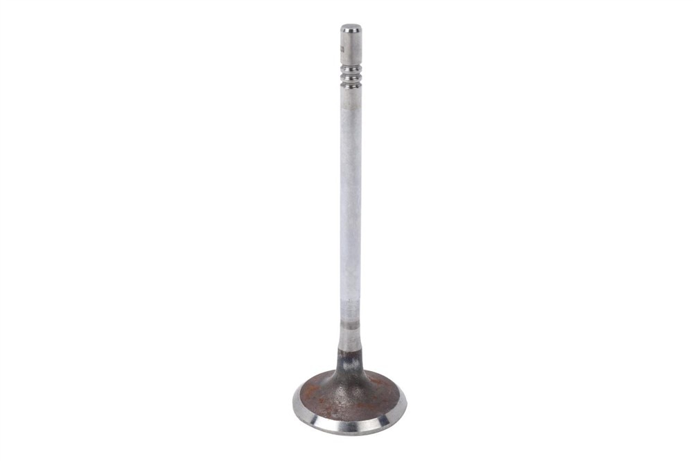 GM Genuine Parts Intake Valve