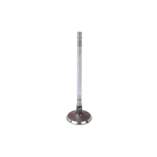 GM Genuine Parts Intake Valve