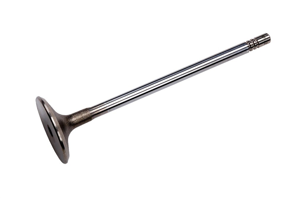 GM Genuine Parts Engine Intake Valve