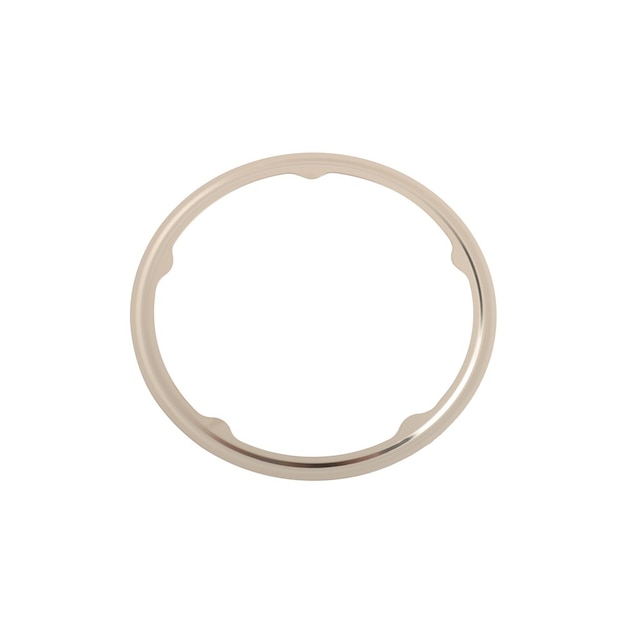 GM Genuine Parts Catalytic Converter Gasket